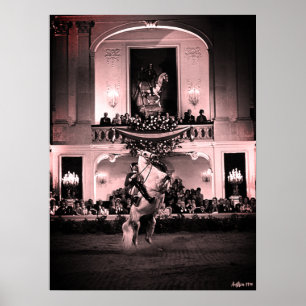 Poster Cavalo Austríaco Clássico de Viena Courbette Espan