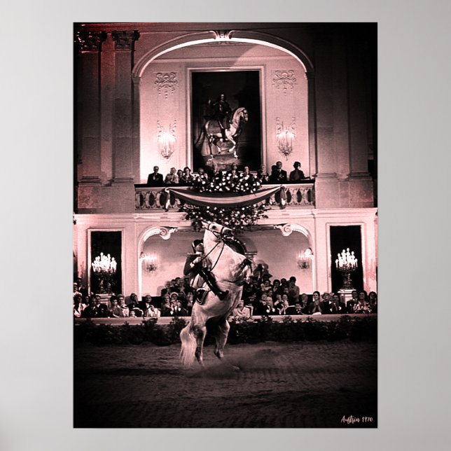 Poster Cavalo Austríaco Clássico de Viena Courbette Espan (Frente)