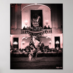 Poster Cavalo Austríaco Clássico de Viena Courbette Espan
