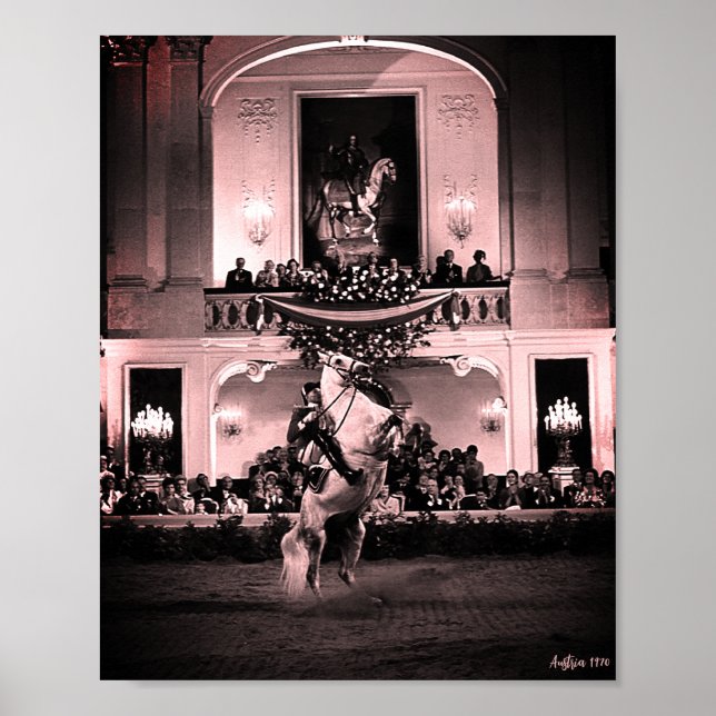 Poster Cavalo Austríaco Clássico de Viena Courbette Espan (Frente)