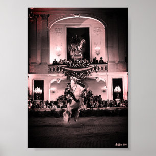 Poster Cavalo Austríaco Clássico de Viena Courbette Espan