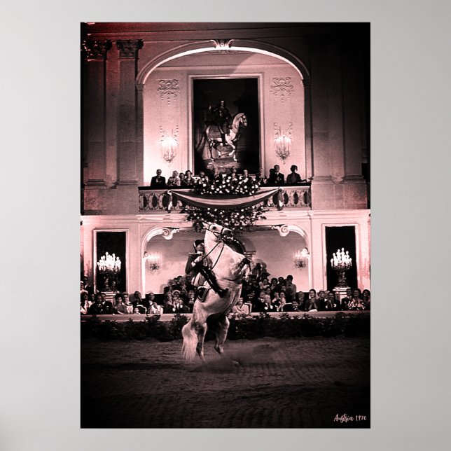 Poster Cavalo Austríaco Clássico de Viena Courbette Espan (Frente)