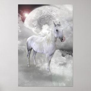 Pôster Cavalo branco