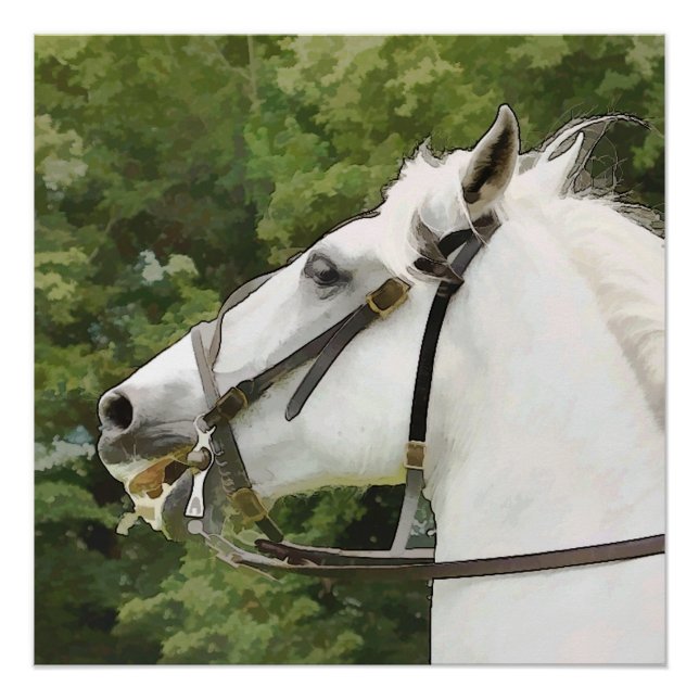 PÔSTER CAVALO BRANCO (Frente)