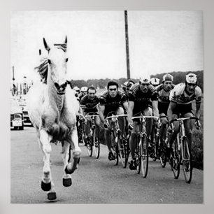 Poster Cavalo Branco 1975 Tour De France Color Redux