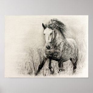 Pôster Cavalo branco no carvão vegetal