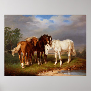 Poster Cavalo Caramelo Marrom Branco