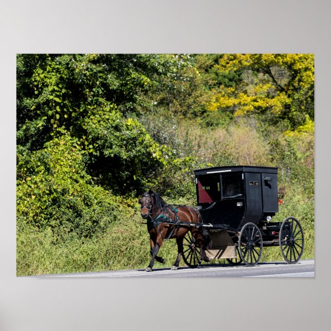 Poster Cavalo com Buggy no País Amish (Frente)