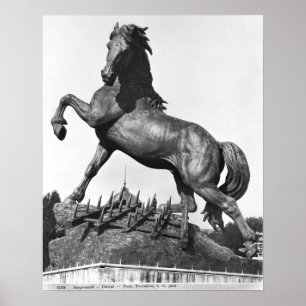 Pôster Cavalo com uma grade