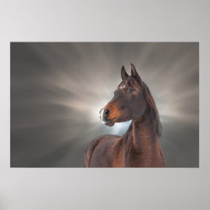 Pôster Cavalo contra Nuvens