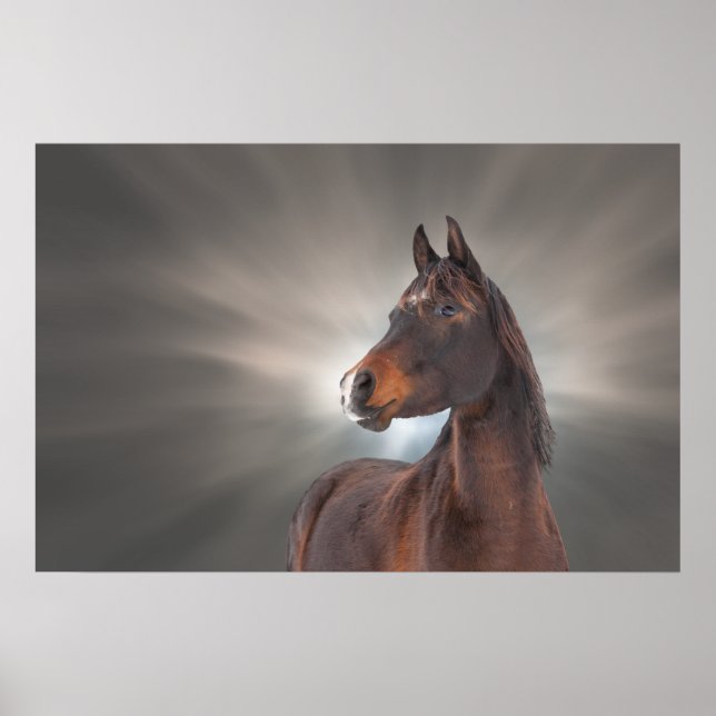 Pôster Cavalo contra Nuvens (Frente)