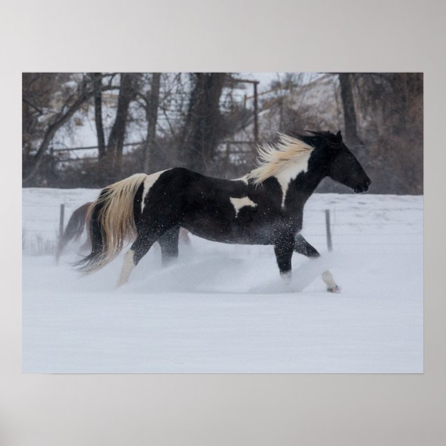 Poster Cavalo Correndo Através da Neve (Frente)