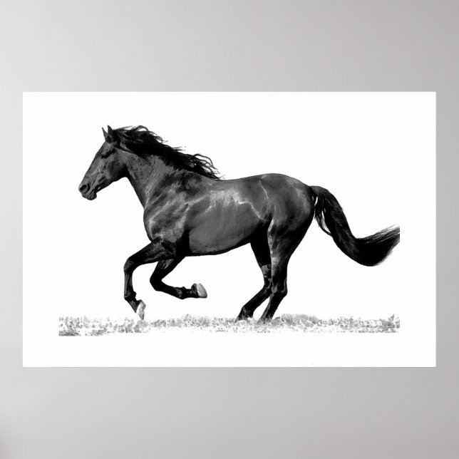 Poster Cavalo Correndo Preto Branco (Frente)