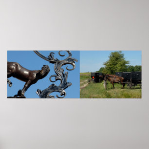 Poster Cavalo da Cidade, Cavalos do País