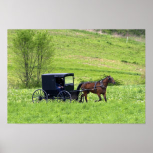 Pôster Cavalo de Amish e Berlim próxima com erros, Ohio.