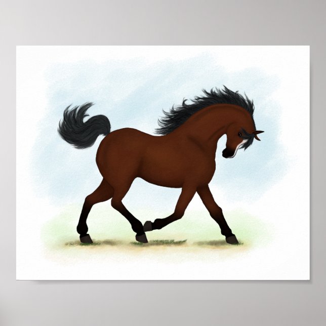 Poster Cavalo de Baía com Equestre Blaze (Frente)