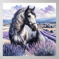 Cavalo de Cinza bonito em Lavanda
