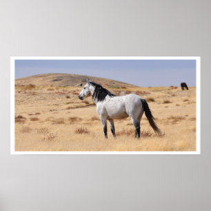 Poster Cavalo de Cinzas Selvagens, Utah