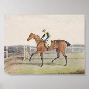 Poster Cavalo de Corrida Britânico (Duquesa)