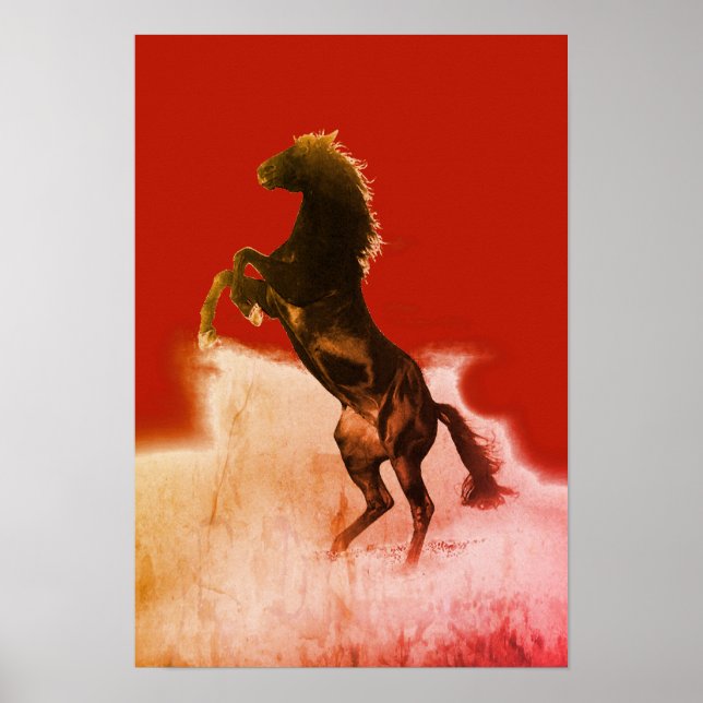 Poster Cavalo de Criação (Frente)