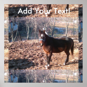 Pôster Cavalo de fazenda Raleigh County de Brown