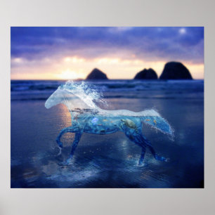 Pôster Cavalo de mar