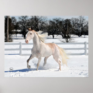 Pôster Cavalo de passeio de Tennessee na neve