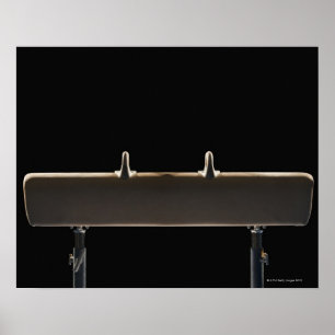 Poster Cavalo de Pommel