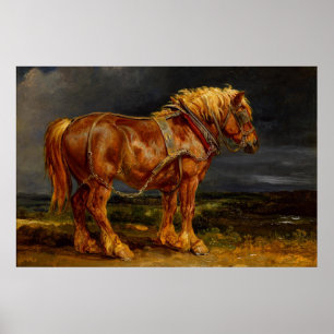 Poster Cavalo de Rascunho