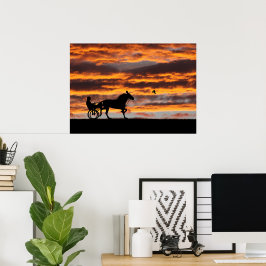Poster Cavalo de Trote Standard