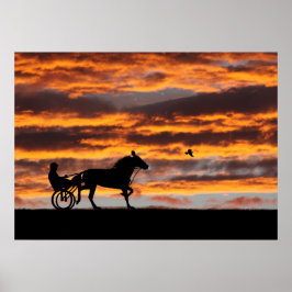 Poster Cavalo de Trote Standard