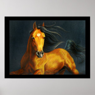 Pôster Cavalo do Buckskin