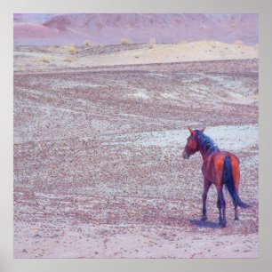Poster Cavalo do Deserto P8640