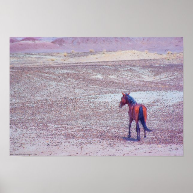 Poster Cavalo do Deserto P8640 (Frente)