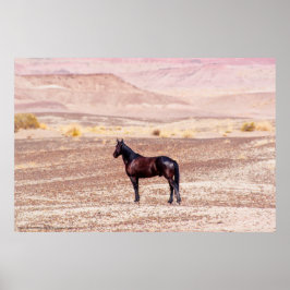 Poster Cavalo do Deserto P8664
