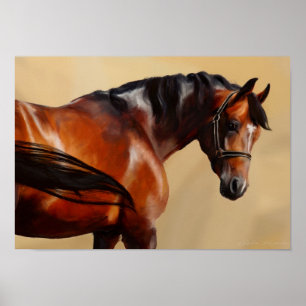 Pôster Cavalo do óleo