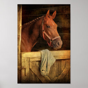 Poster Cavalo do puro-sangue