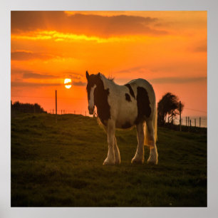 Poster Cavalo do Sol