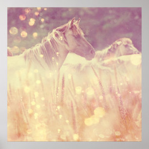 Poster Cavalo Dourado do brilho do mustang selvagem