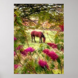 Pôster Cavalo e Lilacs