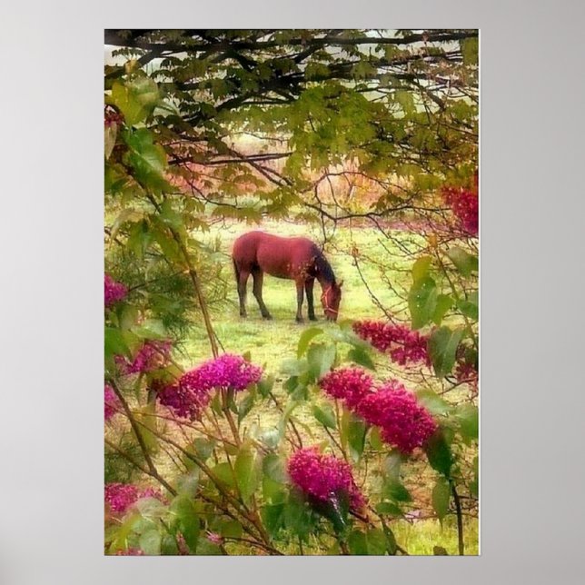 Pôster Cavalo e Lilases (Frente)