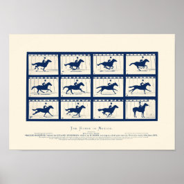 Poster Cavalo Em Movimento - Sallie Gardner Em Um Gallop