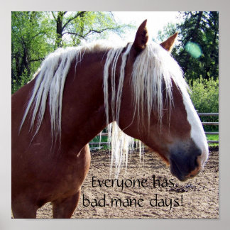 Poster Cavalo Engraçado "Todo Mundo Tem Maus Dias de Mão"