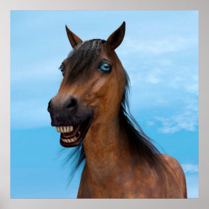 Pôster Cavalo Feliz