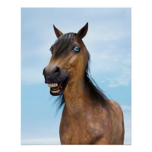 Pôster Cavalo Feliz Sorridente da Baía