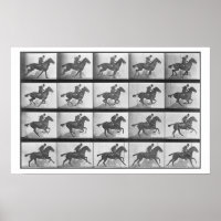 Cavalo Galopante, placa 628 de 'Locomotion Animal