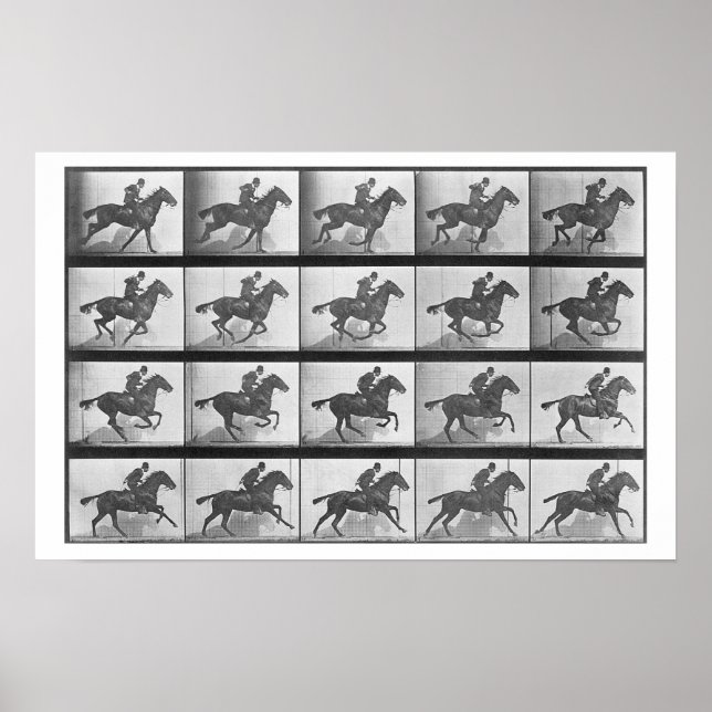 Poster Cavalo Galopante, placa 628 de 'Locomotion Animal (Frente)