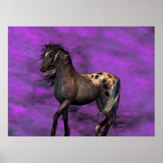 Pôster Cavalo Índio