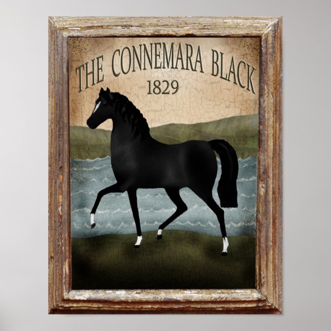 Poster Cavalo Irlandês do Dia de São Patrício, Fazenda pe (Frente)