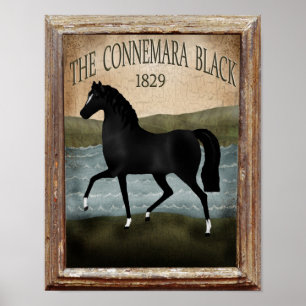 Poster Cavalo irlandês do Dia de São Patrício, sinal